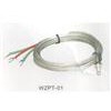 WZPT-01,