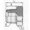 ݼy^ 4N-02,4N-04,4N-06,4N-08,4N-12,4N-16,4N-20,4N-24,4N-32