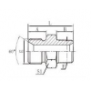 Fܷ^ 1BT-02SP,1BT-04SP,1BT-12SP,1BT-16SP,1BT-20SP,1BT-24SP,1BT-32SP,1BT-40SP,1BT-48SP,